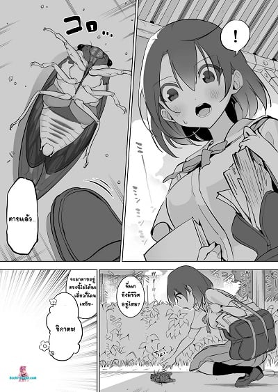 จักจั่น x สาวมอปลาย [Haechaimu (smomo)] Semi x JK