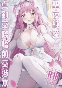 คริสต์มาส ความรัก ความสัมพันธ์ [One and Only (Sechi)] Seiya Junai Shinken Kousai Konzen Koushou Hon (Blue Archive)